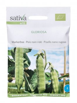 Semi di Gloriosa (Pisello Nano Rugoso) - 1