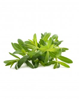 Semi di Hyssopus Officinalis - Issopo - K73 - 1