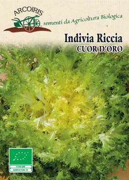 Semi di Indivia Riccia Cuor d'Oro - 5 gr - BU039