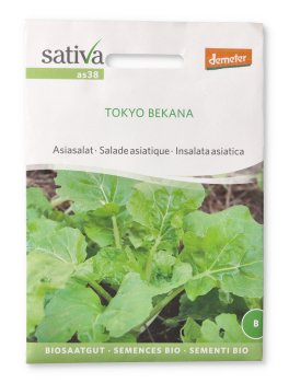 Semi di Insalata Asiatica - Tokyo Bekana - 1