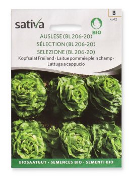 Semi di Lattuga a Cappucio Brighella - 1