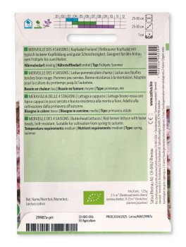 Semi di Lattuga a Cappucio - Meraviglia delle 4 Stagioni - 2