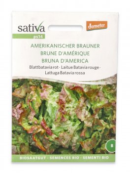 Semi di Lattuga Batavia Rossa Bio - Bruna D'America - 1