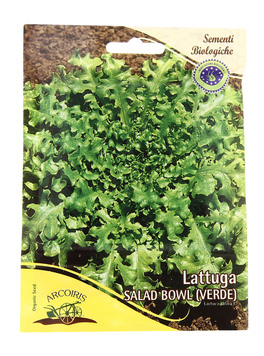 Semi di Lattuga Verde Salad Bowl - B496-25