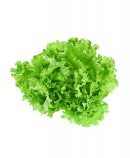 Semi di Lattuga da Taglio Bionda a Foglia Riccia Bio - 1