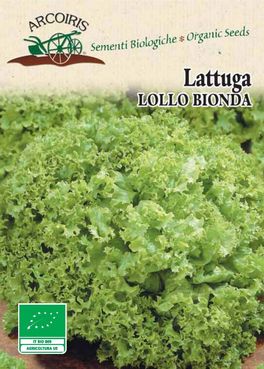 Semi di Lattuga Lollo Bionda - 3 gr - BU046