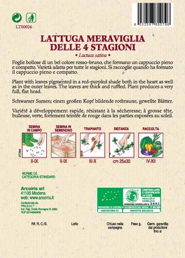 Semi di Lattuga Meraviglia 4 Stagioni Bio - 3