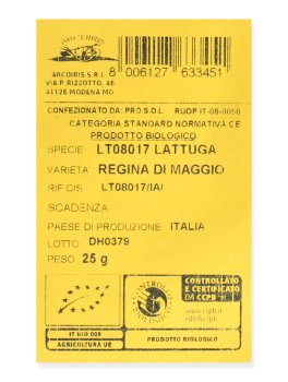 Semi di Lattuga "Regina di Maggio" Bio - 3