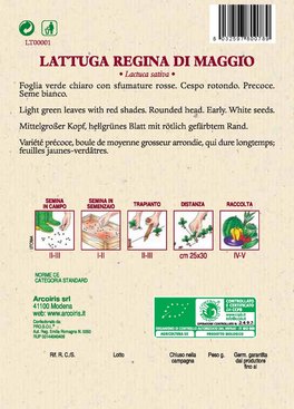 Semi di Lattuga "Regina di Maggio" Bio - 2