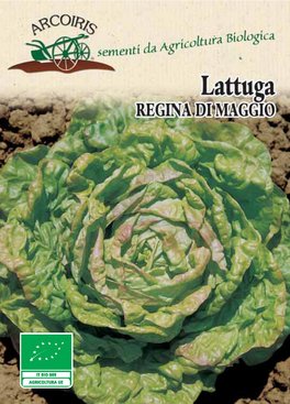 Semi di Lattuga "Regina di Maggio" Bio - 1