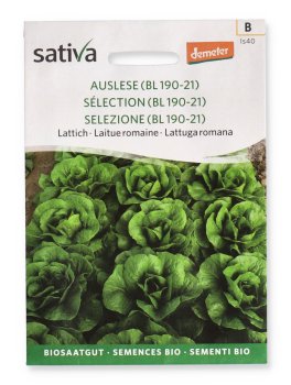 Semi di Lattuga Romana - 1