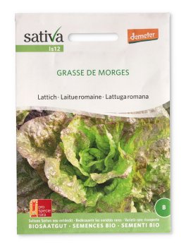 Semi di Lattuga Romana - Grasse de Morges - 1
