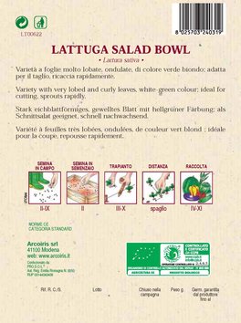 Semi di Lattuga Salad Bowl Verde - 3 gr - BU047 - 2