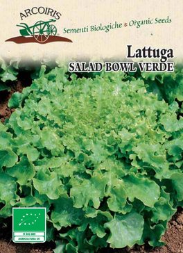 Semi di Lattuga Salad Bowl Verde - 3 gr - BU047 - 1