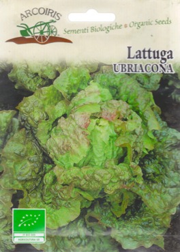 Semi di Lattuga Ubriacona Bio - 2