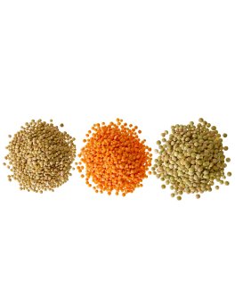 Semi di Lenticchia Multicolore Bio - 1