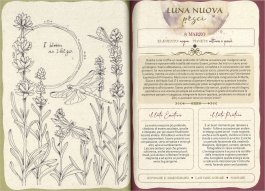 Semi di Luna 2027 — Libro - 4