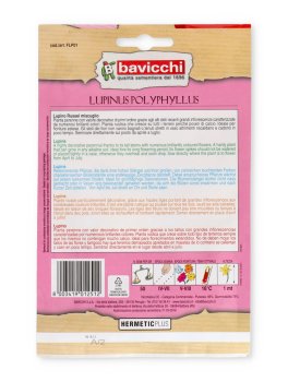 Semi di Lupino Russel - Lupinus Polyphyllus - 2