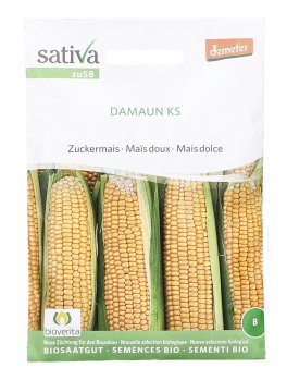 Semi di Mais Dolce "Damaun" Sel. Sativa - 1
