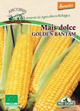 Semi di Mais Dolce Golden Bantam - 10 gr - BU041