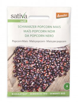 Semi di Mais Nero per Popcorn Bio - 1