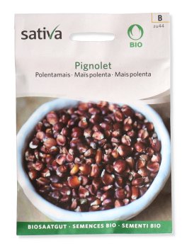 Semi di Mais Polenta - Pignolet - 1