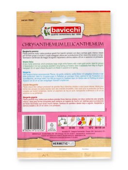 Semi di Margherita Leucantemo - 2