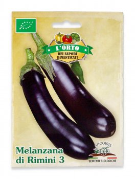 Semi di Melanzana Violetta Lunga di Rimini Bio - 3