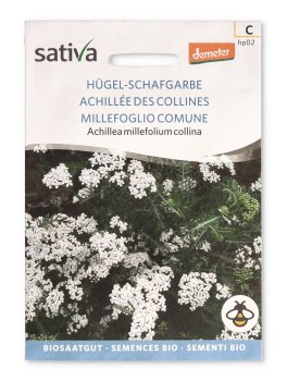 Semi di Millefoglio Comune - Achillea Millefolium Collina - 1