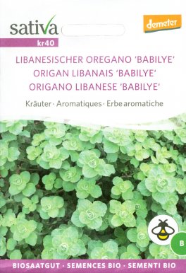 Semi di Origano Libanese Babilye - 25 Semi - 1