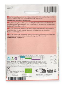 Semi di Orlaya Fiore Annuale - 2