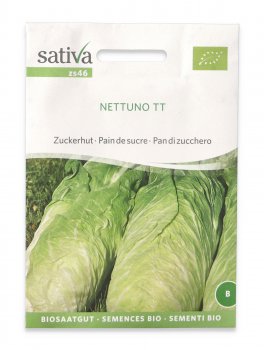 Semi di Pan di Zucchero Bio - Nettuno TT - 1