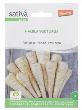 Semi di Pastinaca "Turga" - 1