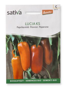 Semi di Peperone Lucia KS - 1