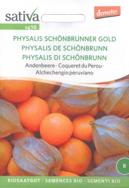 Semi di Physalis "di Schoenbrunn" - Alchechengio Peruviano - 1