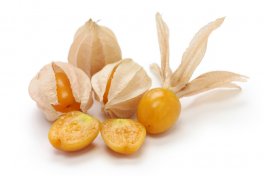Semi di Physalis Peruviano (alchechengi)