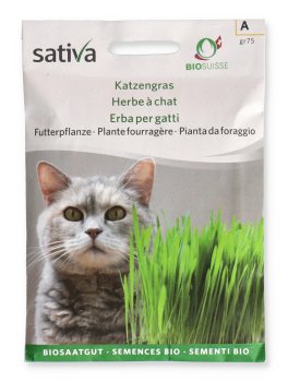 Semi di Pianta da Foraggio Erba per Gatti - 1