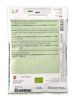 Semi di Pisello Nano Rugoso Bio - Meraviglia di Kelvedon - 2