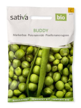 Semi di Pisello Nano Rugoso Buddy - 1
