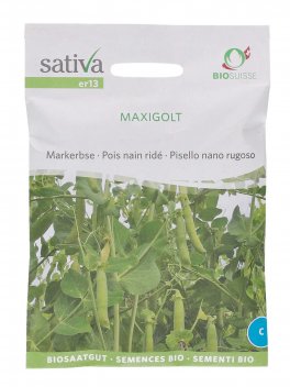 Semi di Pisello Nano Rugoso (Maxigold) - 1
