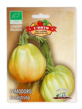 Semi di Pomodoro Canestrino Bio - 2