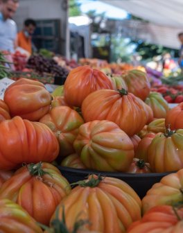 Semi di Pomodoro Canestrino Bio - 4