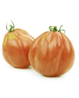 Semi di Pomodoro Canestrino Bio - 1