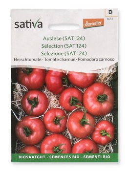 Semi di Pomodoro Carnoso - 1