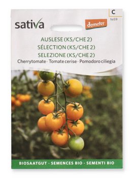 Semi di Pomodoro Ciliegia Mareile Giallo Bio - 1