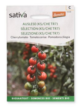 Semi di Pomodoro Ciliegia Tiamarie Bio - 1