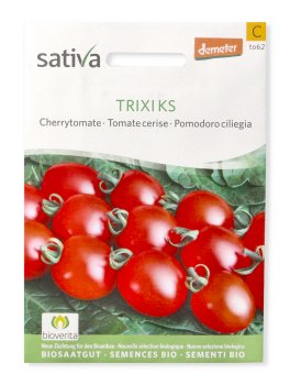 Semi di Pomodoro Ciliegia Trixi KS - 1