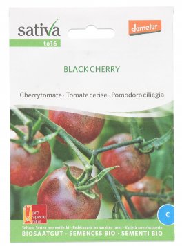 Semi di Pomodoro Ciliegino "Black Cherry" - 1
