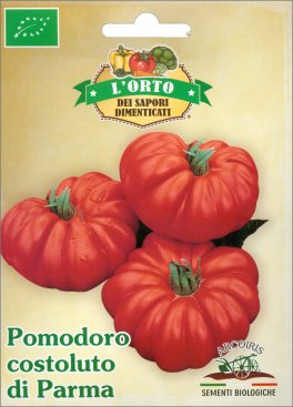 Semi di Pomodoro Costoluto di Parma Bio - 2