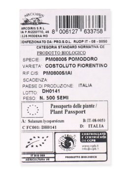 Semi di Pomodoro Costoluto Fiorentino Bio - 3